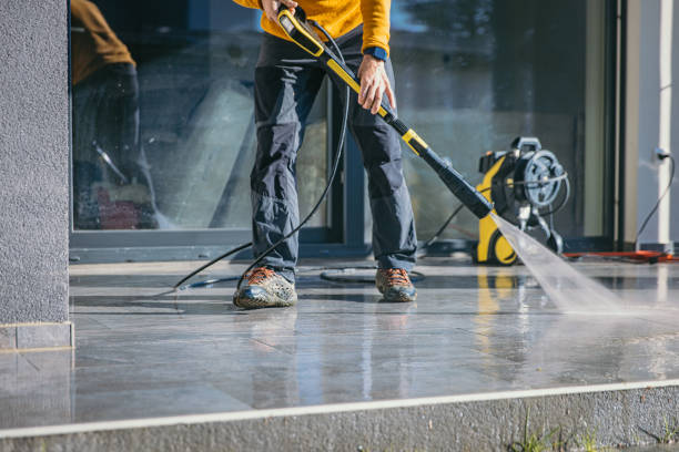 Best Roof Washing  in Springfield, MN